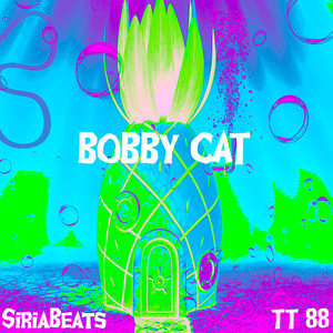 Bobby Cat
