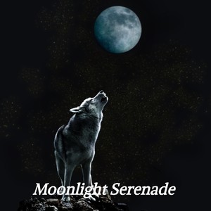 Moonlight Serenade