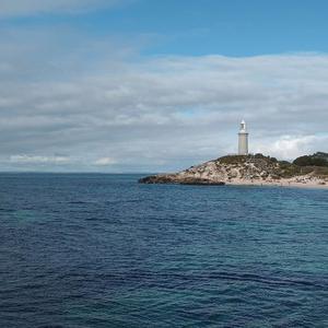 Violins (feat. Dean Lauro) (Explicit)