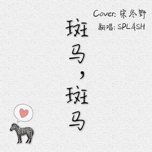 斑马，斑马