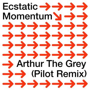 Ecstatic Momentum (feat. Arthur The Grey) (Pilot Remix)