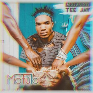 Ari fani (feat. Dindie'Cess & Makhanyi)