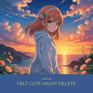 Felt Cute Might Delete