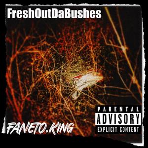 FreshOutDaBushes (Explicit)