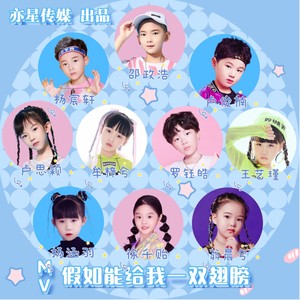 假如能给我一双翅膀