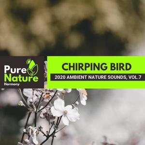 Chirping Bird - 2020 Ambient Nature Sounds, Vol.7