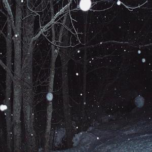 meine idole sind tot (Explicit)