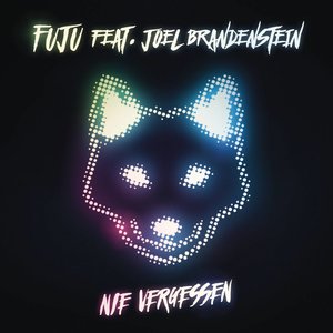 Nie Vergessen (Acoustic)