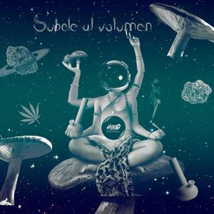 Subele al volumen (feat. Black Homie & Visionarios)