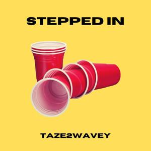 STEPPED IN (Explicit)