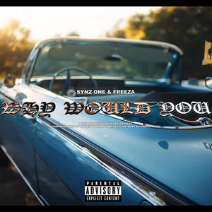 Why Would You (feat. Freeza The King) [Explicit]