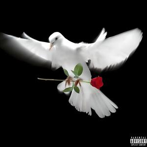 Out Of Luck (Explicit)