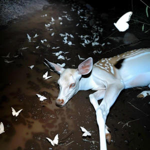 LOVED GUN (feat. blurhie)