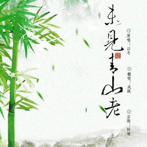 未见青山老