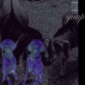 guap (feat. acres18) (Explicit)