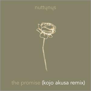 The Promise (Kojo Akusa Remix Instrumental)