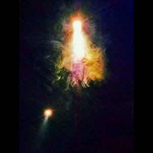 panda  (Colar Boom remix)