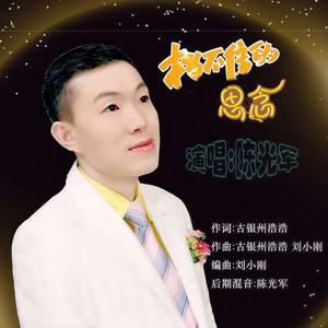 挡不住的思念 (伴奏)