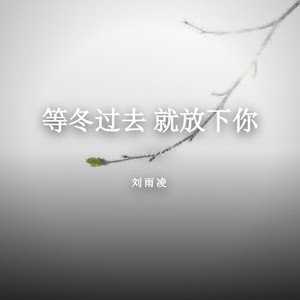 等冬过去 就放下你 (女版)
