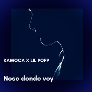 Nose Donde Voy