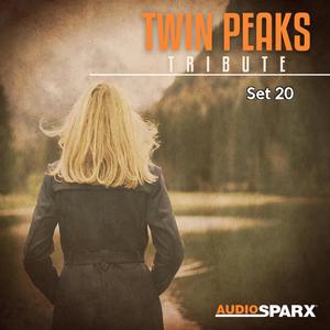 Twin Peaks Tribute, Set 20