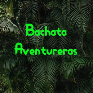 Dame Un Chin De Tu Cama Bonita Live