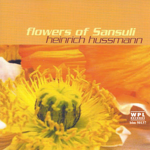 Flowers of Sansuli - Gitarre