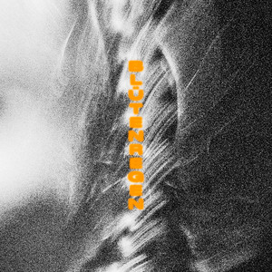 Blütenregen (Explicit)