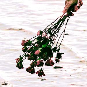 TOUT VA BIEN (Explicit)