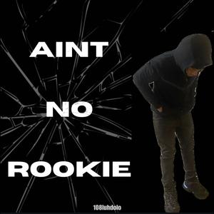 Aint No Rookie (Explicit)