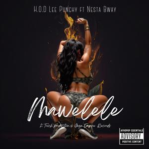 Mawelele (feat. Nesta Bwoy)