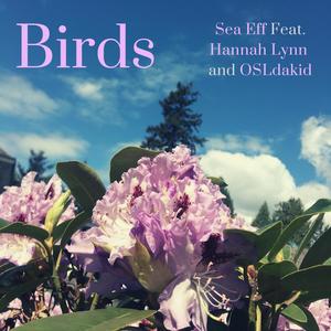 Birds (feat. Hannah Lynn & OSLdakid)