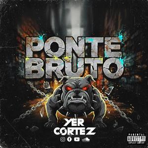 PONTE BRUTO