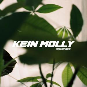 Kein Molly (Explicit)