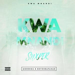 Kwa Mnandi (feat. Mshengu The DJ, BoyznBafanas & RickyTheVision)