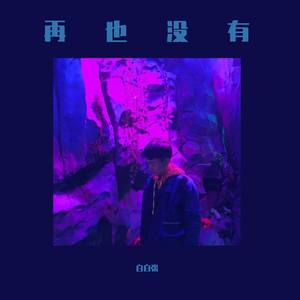 白白张-再也没有