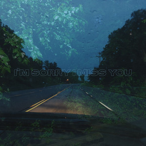 i'm sorry, i miss you