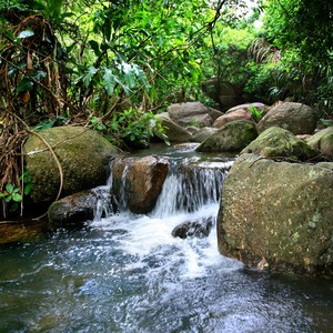 怒放的生命 (Live)