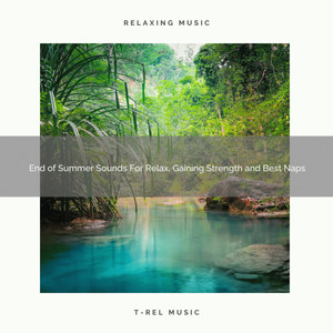 End of Summer Sounds For Relax, Gaining Strength and Best Naps