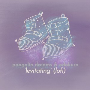 Levitating (lofi Version)