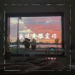 我还是很爱你