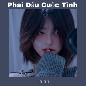 Phai Dấu Cuộc Tình (Remix)