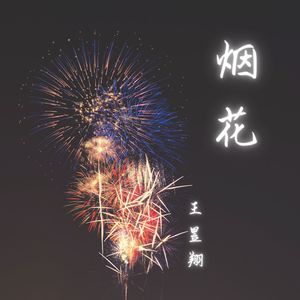 烟花 (Remix版本|NewX Remix)