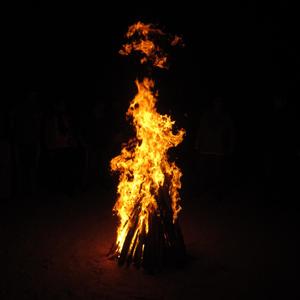 Slow The Whole World Down