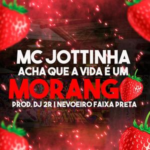 Acha que a Vida é um MORANGO (Explicit)