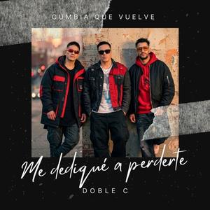 Me dedique a perderte