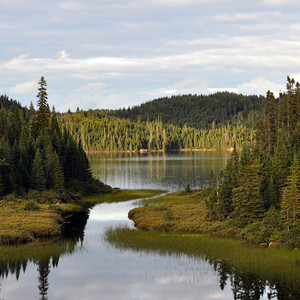 小尖尖 (唯美版)