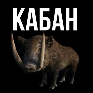 Кабан (Explicit)