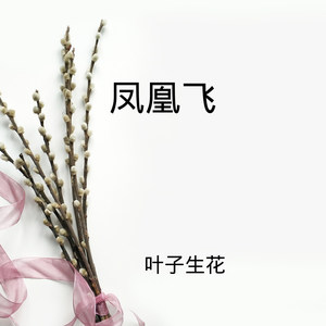 该怎么过 (DJ版)