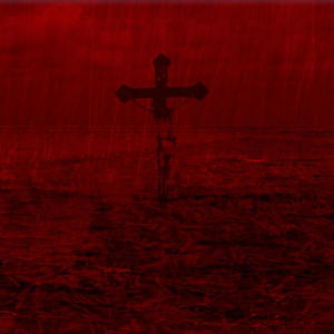 I AM THE SHIPWRECK (Explicit)